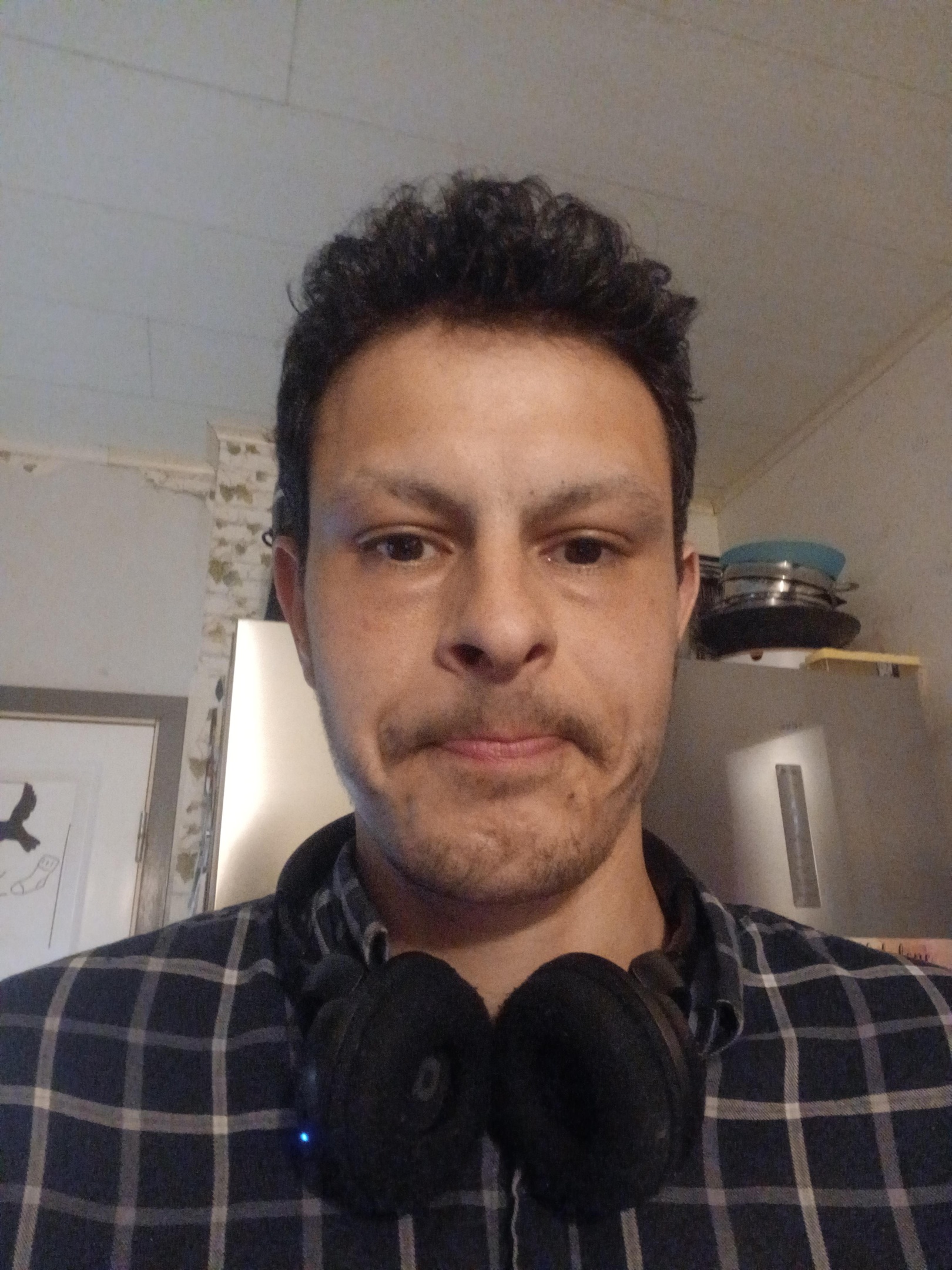 Partiledaren Nils Taghinejad Stjärnpartiet Sverige 